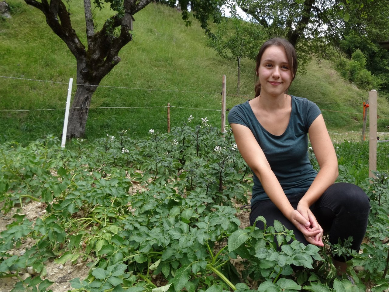 Tamara Widmer pflanzt im elterlichen Garten unter anderem blaue St Galler Kartoffeln und Süsskartoffeln an. (Bilder lid/mg)