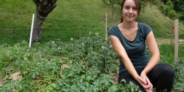 Tamara Widmer pflanzt im elterlichen Garten unter anderem blaue St Galler Kartoffeln und Süsskartoffeln an. (Bilder lid/mg)