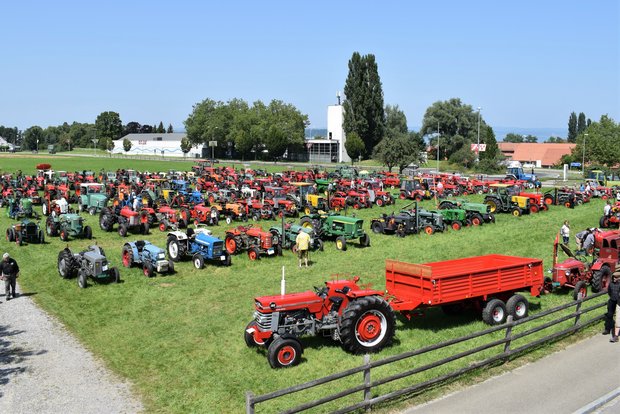 200 Oldtimer-Traktoren reihten sich in Münsterlingen auf Optimales Ausstellungsgelände mit optimaler Zufahrt zur Staatsdomäne Münsterlingen. (Bilder August Sidler)