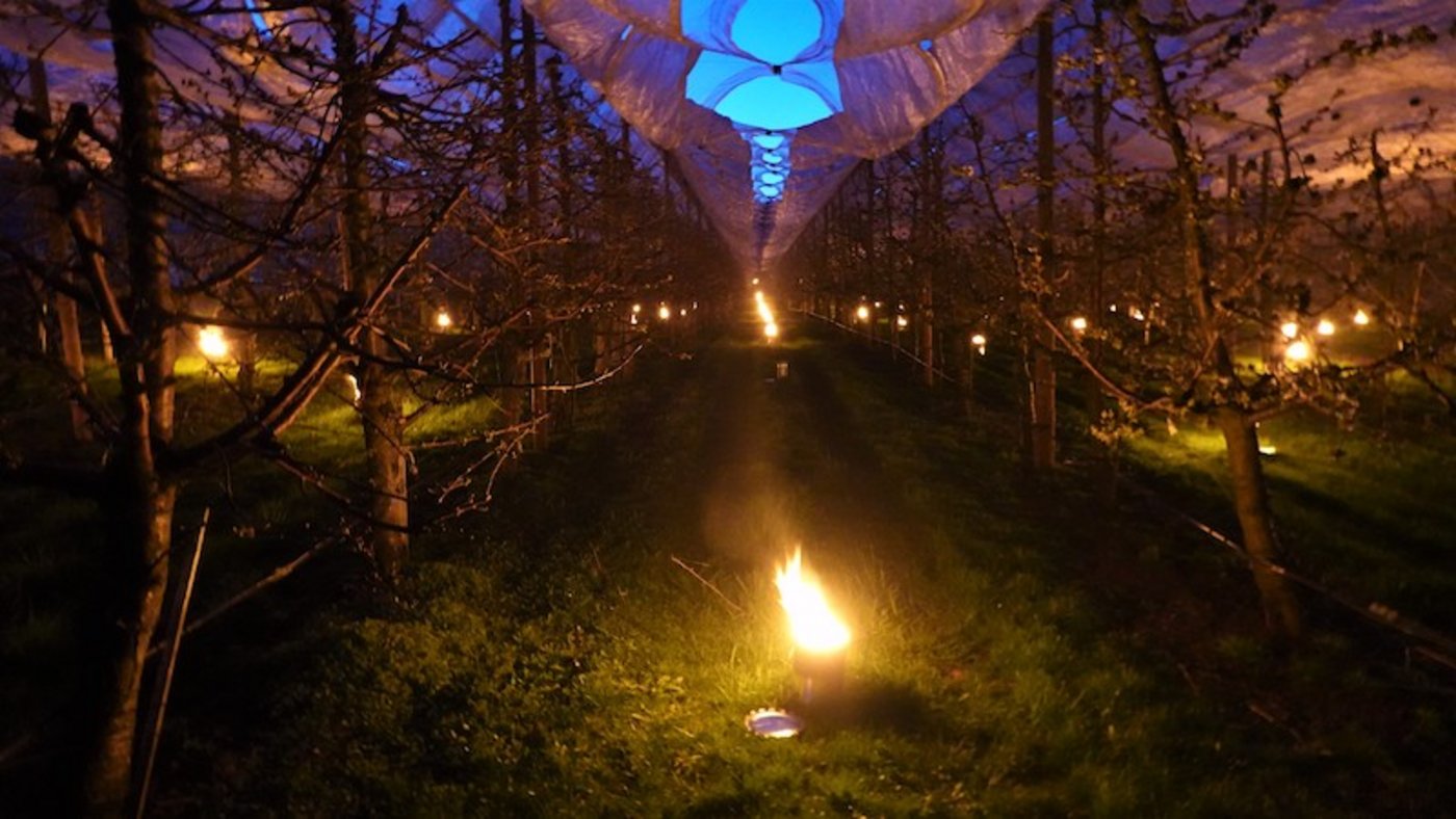 Bei starkem Wind ist die Frostbekämpfung stark erschwert. (Bild zVg/Beat Gisin)