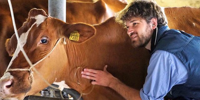 Die seuchenpolizeilichen Massnahmen gelten bis zum 1. Dezember. (Symbolbild pd)