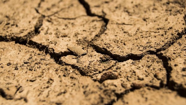 Wegen der Dürre fiel in Ostafrika während Jahren die Ernte aus. (Bild Pixabay)