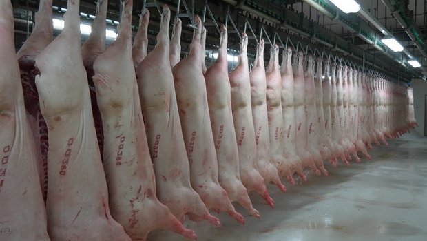 Von Januar bis Mai erreichte die Importmenge an Fleisch rund 2,2 Mio Tonnen; das waren 23 Prozent mehr als in der Vorjahresperiode. (Bild Josef Kottmann)