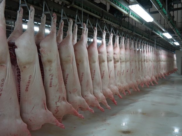 Von Januar bis Mai erreichte die Importmenge an Fleisch rund 2,2 Mio Tonnen; das waren 23 Prozent mehr als in der Vorjahresperiode. (Bild Josef Kottmann)