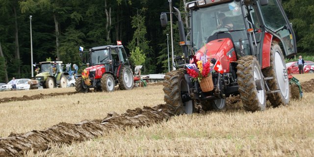 Präzision, Ausdauer und viel Fingerspitzengefühl sind beim Wettpflügen gefragt. (Bild lid) 