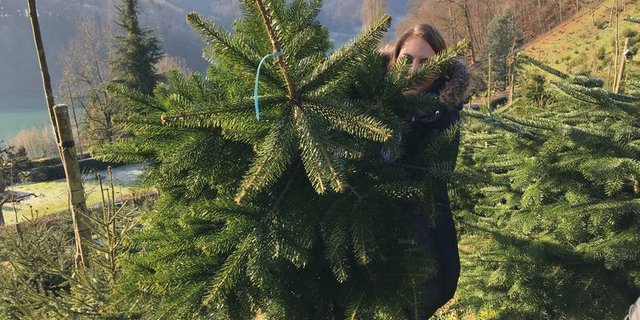 In diesem besonderen Jahr ist das Erlebnis beim Kauf eines Christbaums wichtiger denn je. (Bild Urs Sägesser)