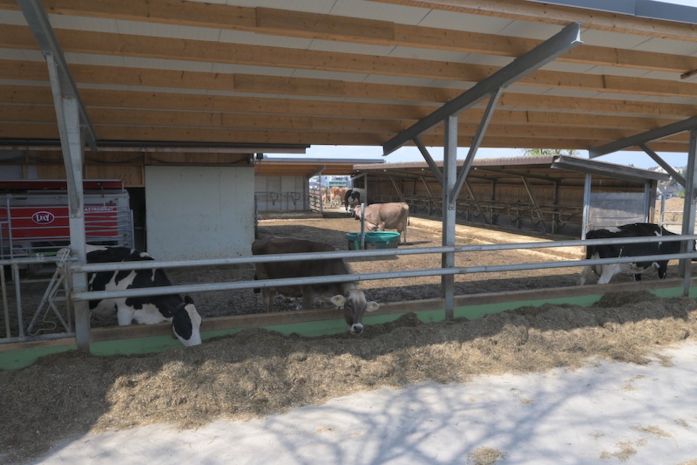 Der Roboterlaufstall von Andreas Hofer ist sehr einfach gebaut. Es gibt keine Separationstore oder spezielle Abteilungen. (Bild Jasmine Baumann)