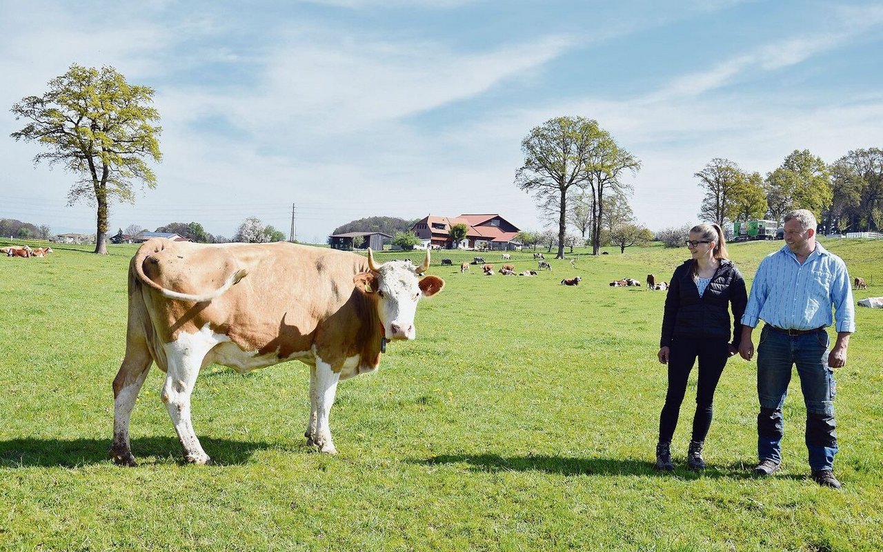 Adrian und Andrea Vonlanthen bei einer ihrer Lieblingskühen: Als Demeter-Betrieb dürfen sie nicht enthornen.