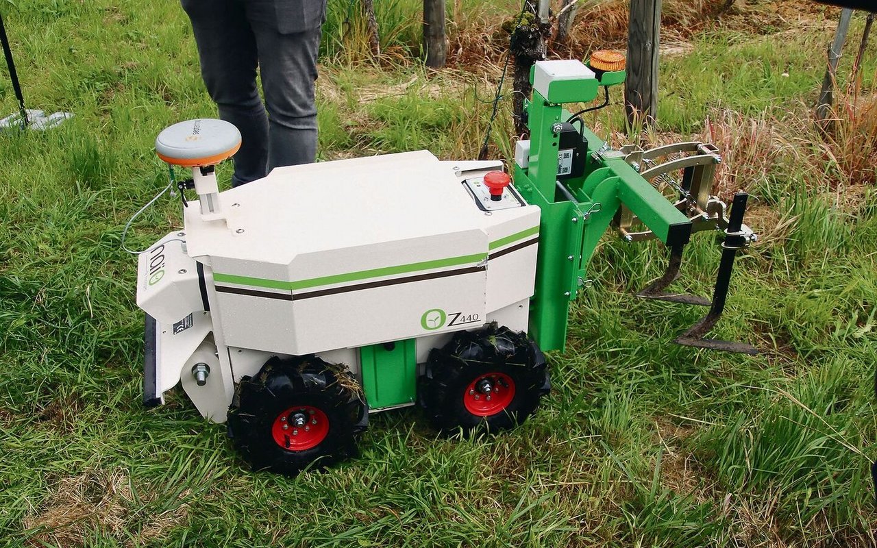 Auch im Rebberg kann man Kleinroboter wie den Naio OZ 440 einsetzen. Das plant die Kellerei am Stockarberg.