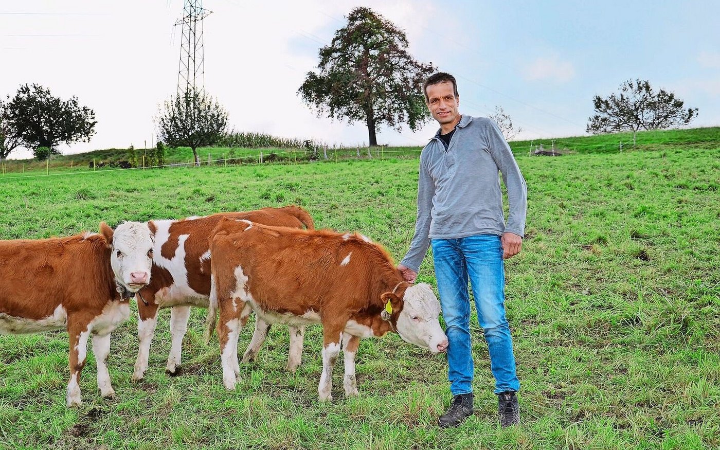 Der Geflügelfachmann hält neben der Eiproduktion eine kleine, gemischte Mutterkuhherde mit Hinterwälder und anderen Rassen.