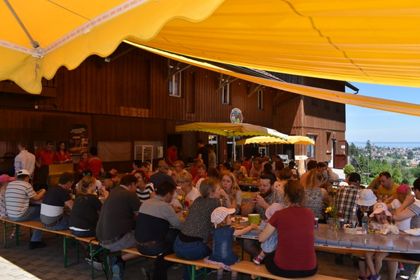 Rund 150 Bauernhöfe landauf landab öffneten heute ihre Hoftüren. (Bilder SBV)