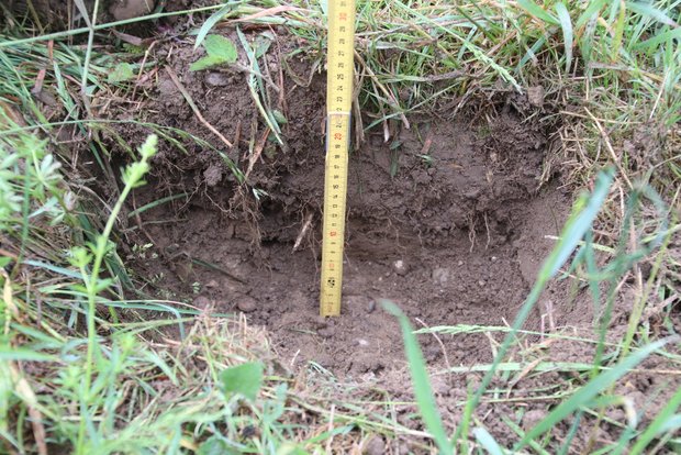 In einer Wiese mit einem eher leichteren Boden sind die Niederschläge nur bis in eine Tiefe von 20 cm eingesickert. (Bilder romü)