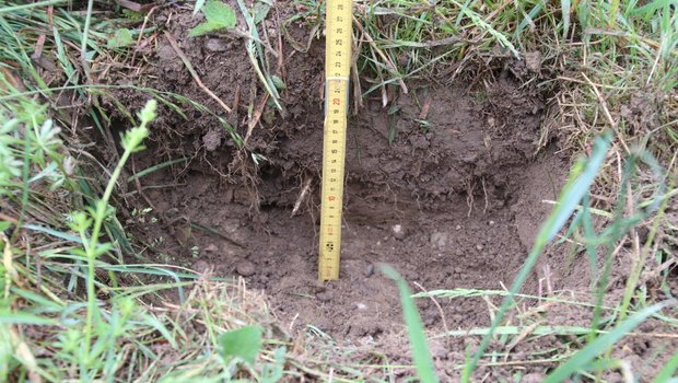 In einer Wiese mit einem eher leichteren Boden sind die Niederschläge nur bis in eine Tiefe von 20 cm eingesickert. (Bilder romü)