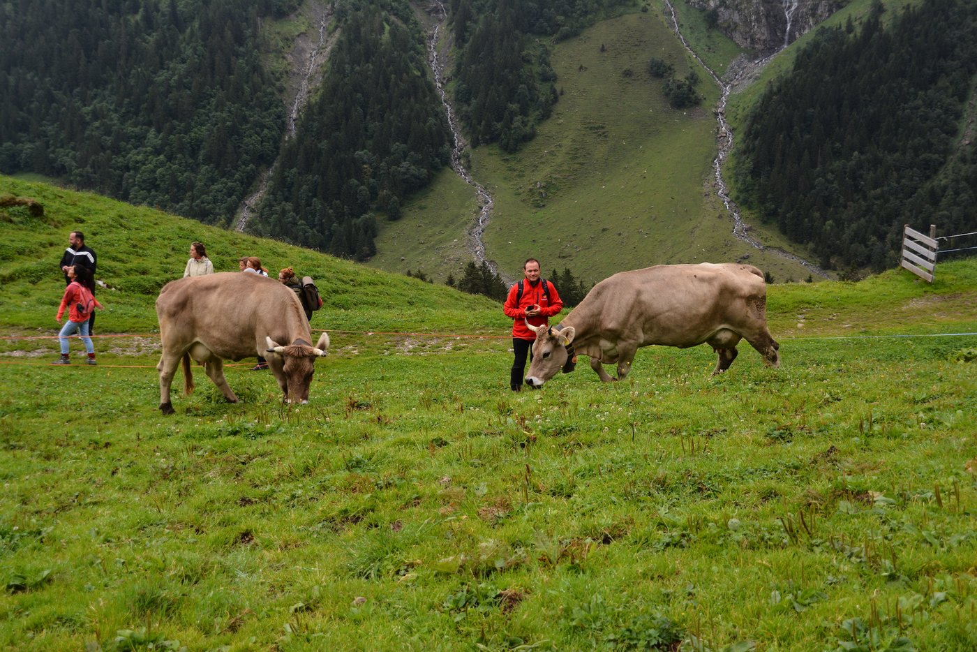 und sind als Alphirten tätig.