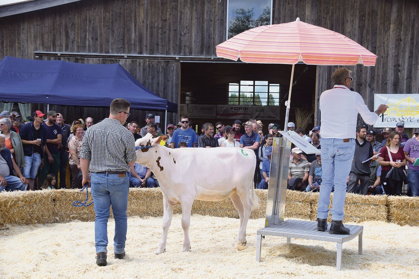 Das rassige, sechs Monate alte Attraction-Kalb  Les Richard Snoelle löste den Preis von 4500 Franken. 