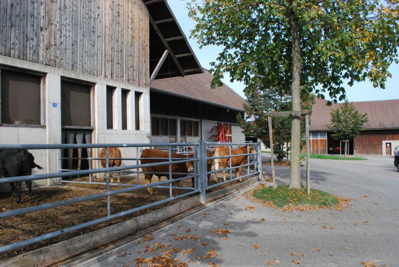 Sämtliche landwirtschaftlichen Betriebe der Merian-Stiftung werden biologisch bewirtschaftet.