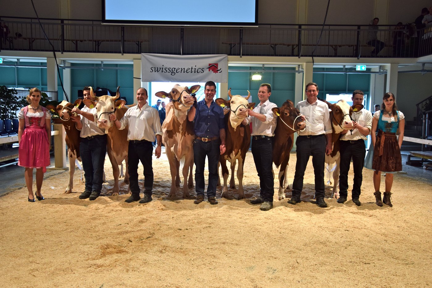 V. l. n. r: Champion Rinder: Pickel Selma, Thomas Ramseier, Süderen; All Star Siegerin: Dario Melitta, Hans Maurer, Wichtrach; Grand Champion: Hirsbrunners Createur Carmen, GG Paul und Simon Hirsbrunner, Zollbrück; Starzüchter Bernhard und Daniel Hadorn aus Schangnau und die Schöneutersiegerin Loyd Jana von Hans und Res Staub aus Eriswil BE. 
