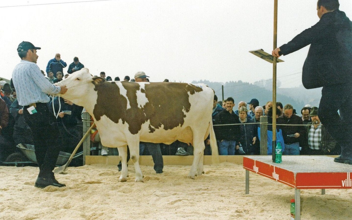 An der Versteigerung auf ihrem letzten Pachtbetrieb in Hüswil löste ihre Spitzenkuh Pickel Idol den Höchstpreis von 13 000 Franken.