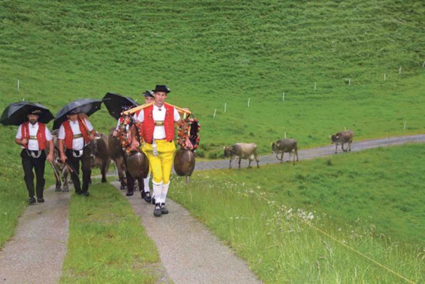 Die Sennen, die die Alpfahrt begleiten, nehmen nach bald vier Stunden im Regen den letzten Anstieg auf dem Weg zur Alp Kammhütten. (Bilder Christian Weber)
