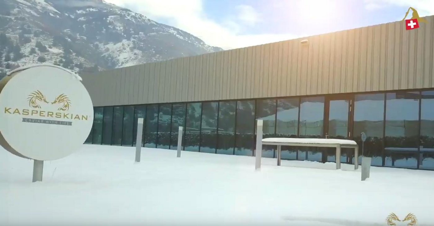 Die Kaviarfarm verzeichnete zu geringen Umsatz. (Bild Screenshot Youtube/Kasperskian)