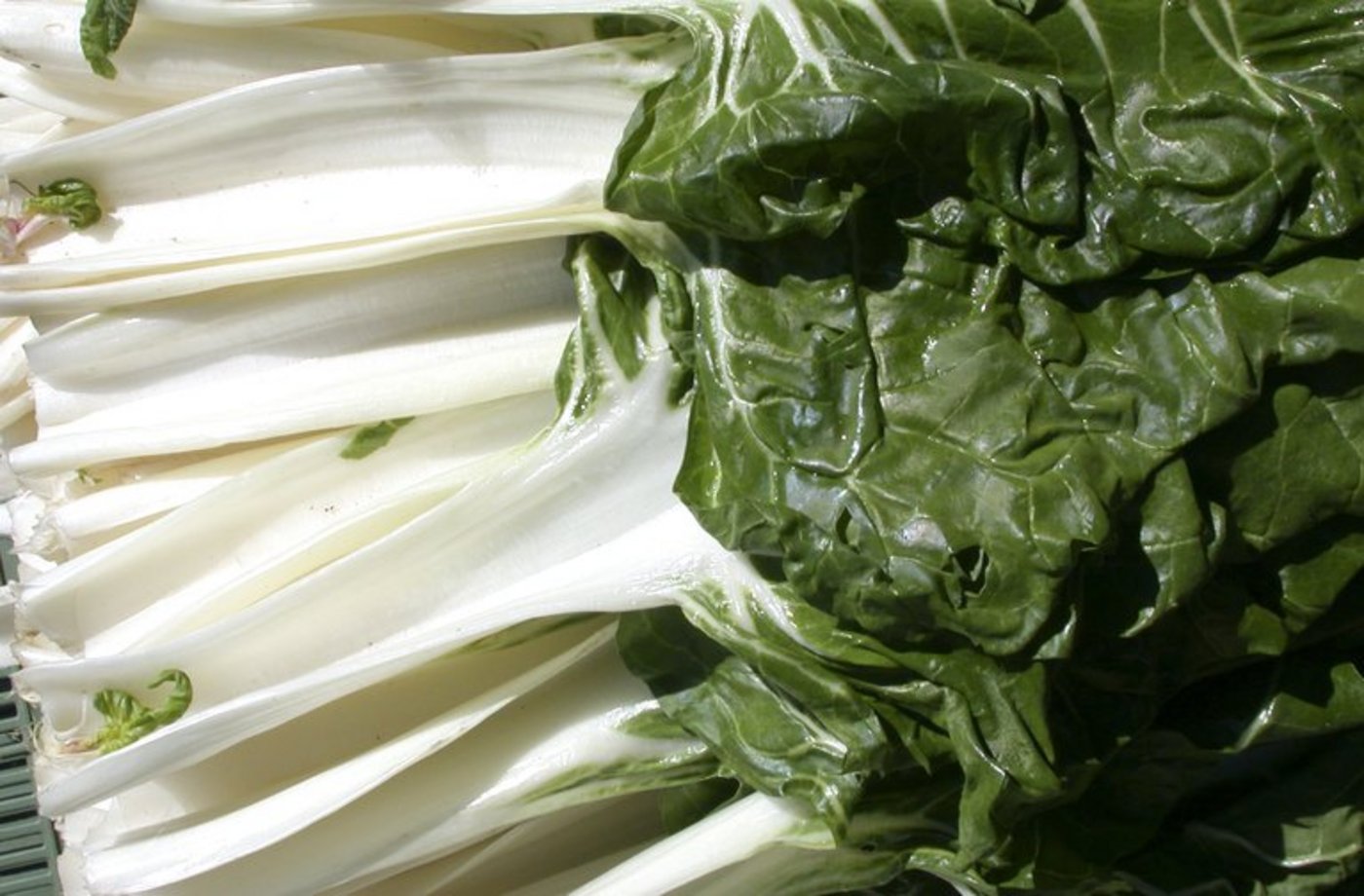 Krautstiele - auch Swiss Chard genannt. (lid)