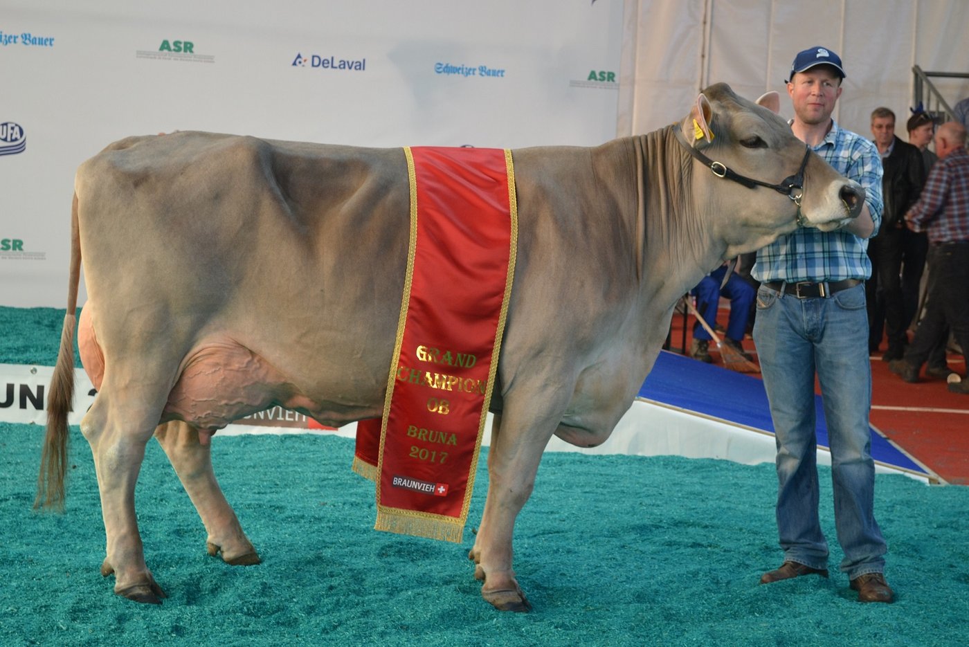 Miss OB wurde die wunderschöne Buchers Rio Rubina von Thomas Bucher aus Neuenkirch. 