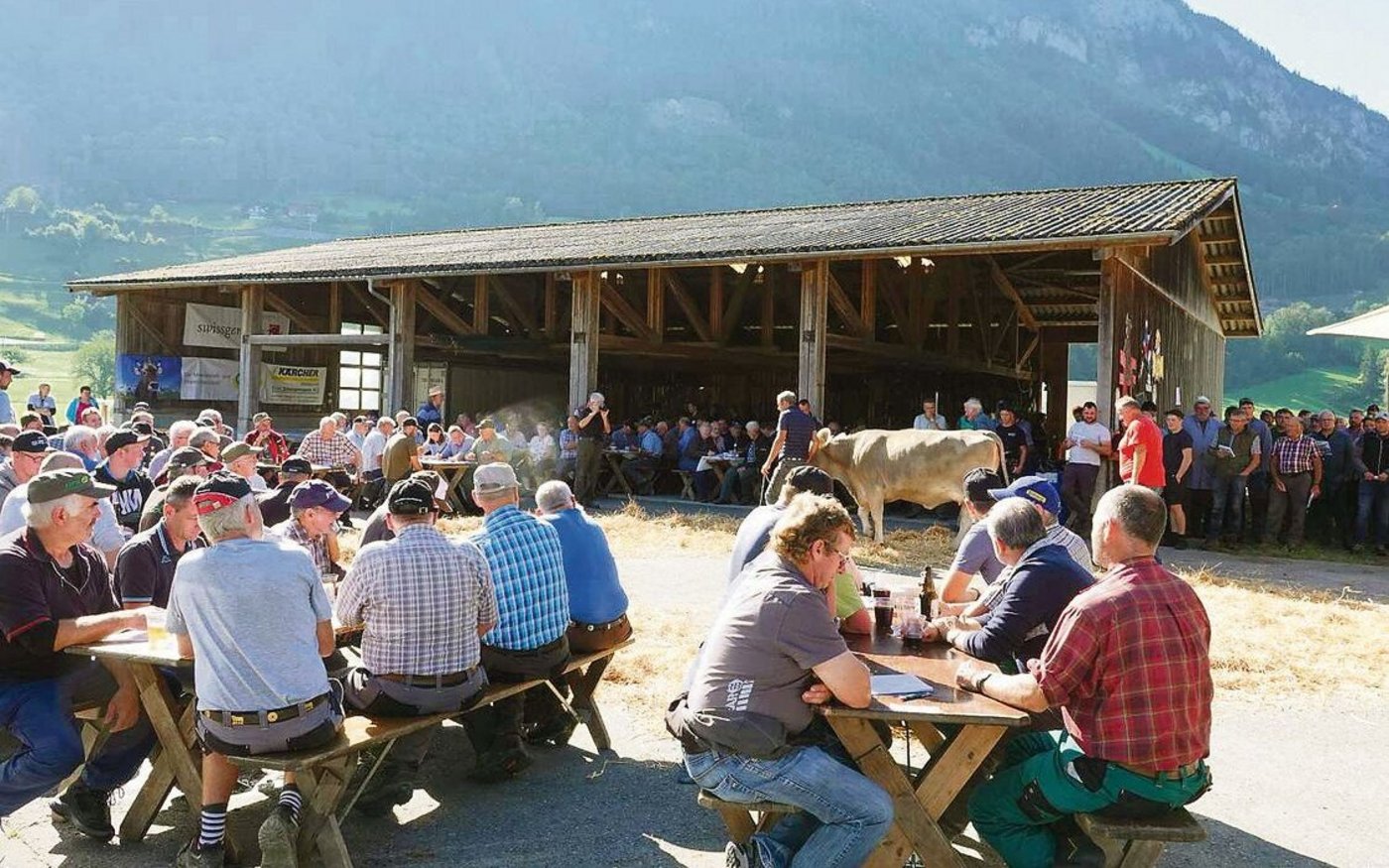 Viele Besucher und interessierte Käufer waren an der Obwaldner Zucht- und Nutzviehauktion auszumachen.
