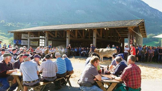 Viele Besucher und i Viele Besucher und interessierte Käufer waren an der Obwaldner Zucht- und Nutzviehauktion auszumachen.
