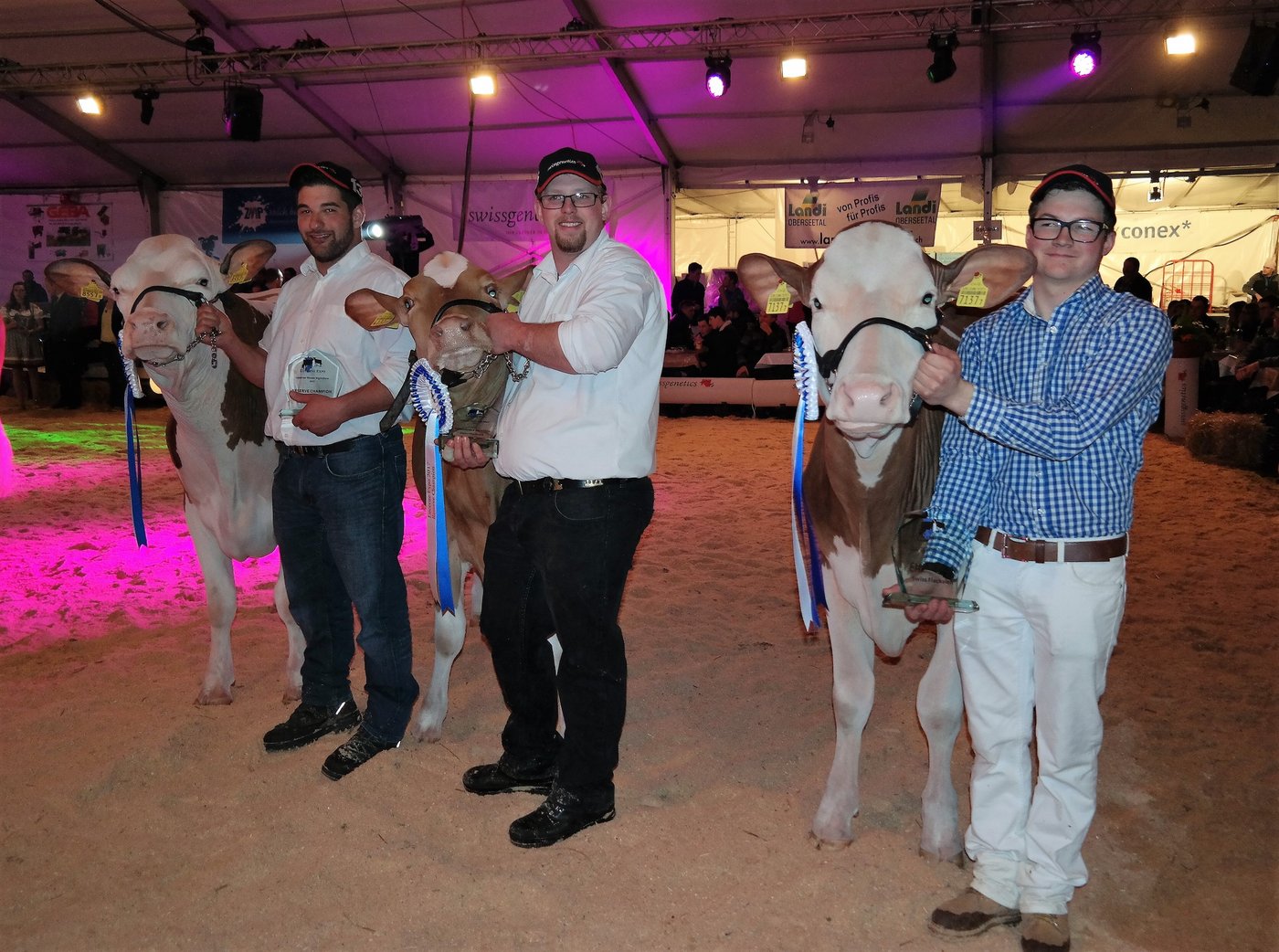 Siegergruppe SF: von rechts, Roman Felder, Marbach, 1. Rang mit Saiko Bianca Bay-Dallas; Fritz Ramseier, Süderen, 2. Rang mit Fieno Trespe Tayssa; Dominik Buob, Luthern, 3. Rang mit Severin Calanda Tamris.