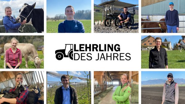 Unsere Top Ten für «Lehrling des Jahres 2021» (Bilder/Videos:BauernZeitung).