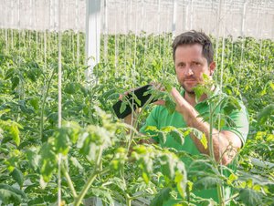 Seeländer Gemüseproduzent Pascal Gutknecht ist überzeugt, dass wir bezüglich Digitalisierung erst am Anfang stehen. Solche Anlagen würden sich anbieten. (Bild David Eppenberger) 