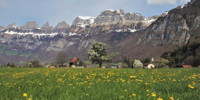 Die Schwerpunkt der Strategie Nachhaltige Entwicklung sind die Biodiversität, das Klima und der Konsum. (Bild Pixabay)