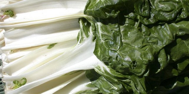 Krautstiele - auch Swiss Chard genannt. (Bild lid)
