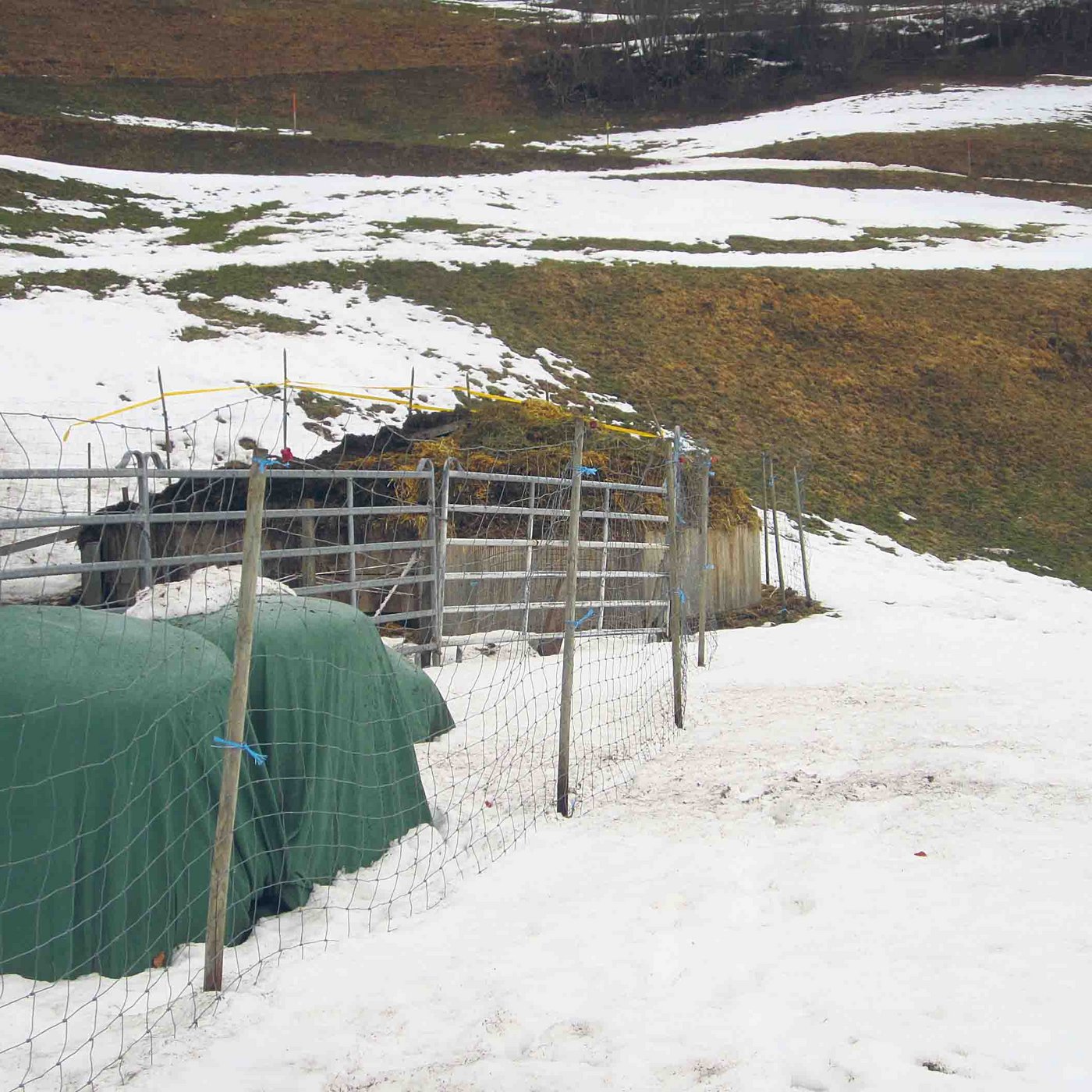 musste er einzäunen. 