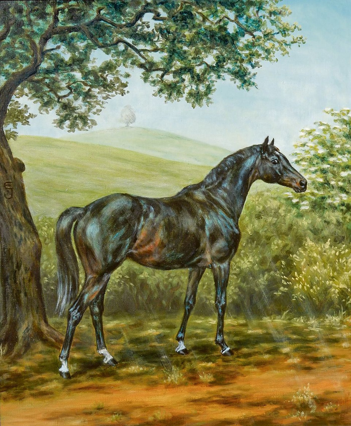 Dieses Ölgemälde der Künstlerin zeigt den Hengst Tocuyo. Es trägt den Titel »Schatten-Farbspiele”. 