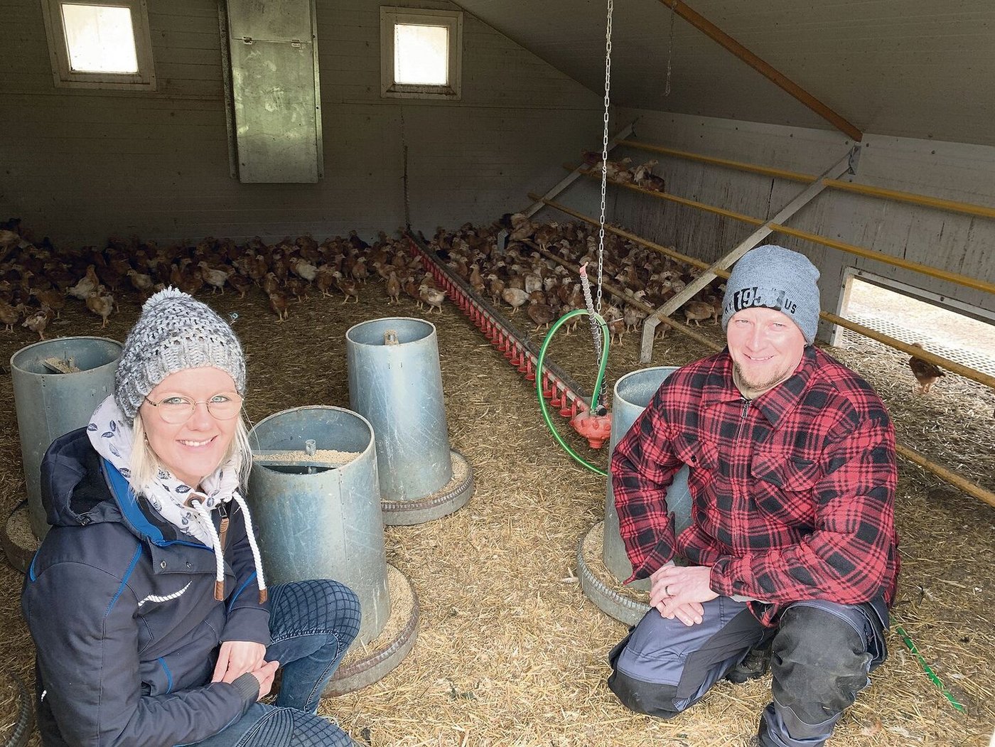 Die vier Wochen alten Poulets wurden von Othmar und Barbara Brun erst vor wenigen Tagen vom Aufzuchtstall in die mobilen Hütten gezügelt. 