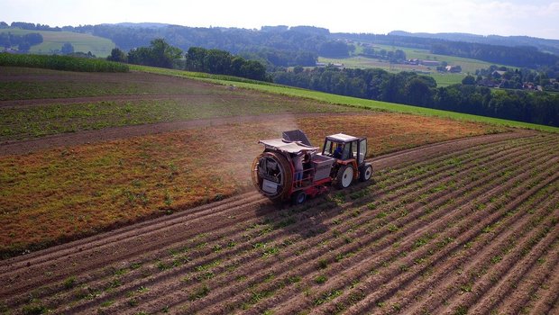 Für die SALS-Schweiz ist eine starke Schweizer Landwirtschaft unentbehrlich. (Bild Pixabay)