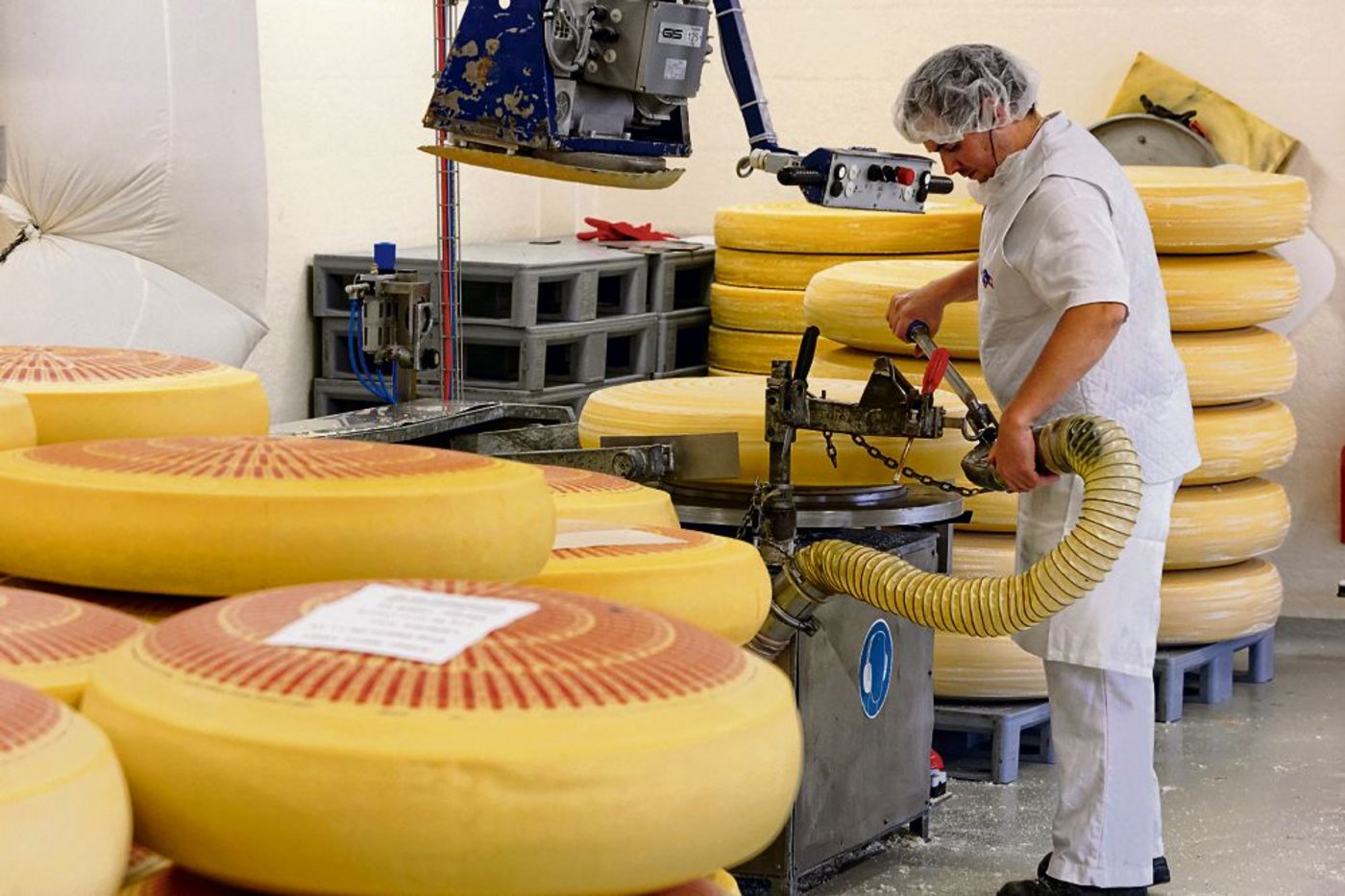 Emmentalerkäse ist wegen den Währungsturbulenzen besonders unter Druck. Wenn der Export nicht gestützt werden kann, ist ein grosser Käsereimilch-Preiszerfall zu erwarten. (Bild Emmi) 