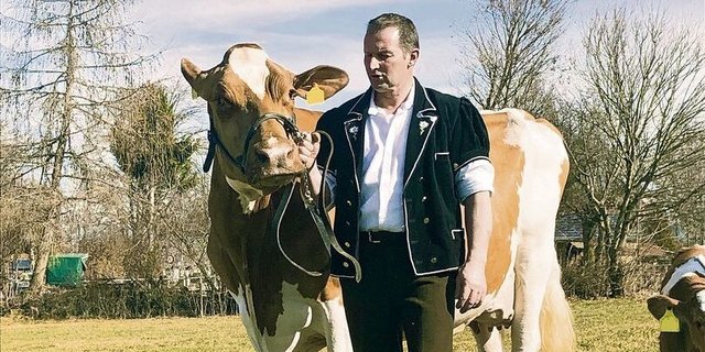 SF-Kuh Idylle (geb. 2013) mit Andres Brönnimann.