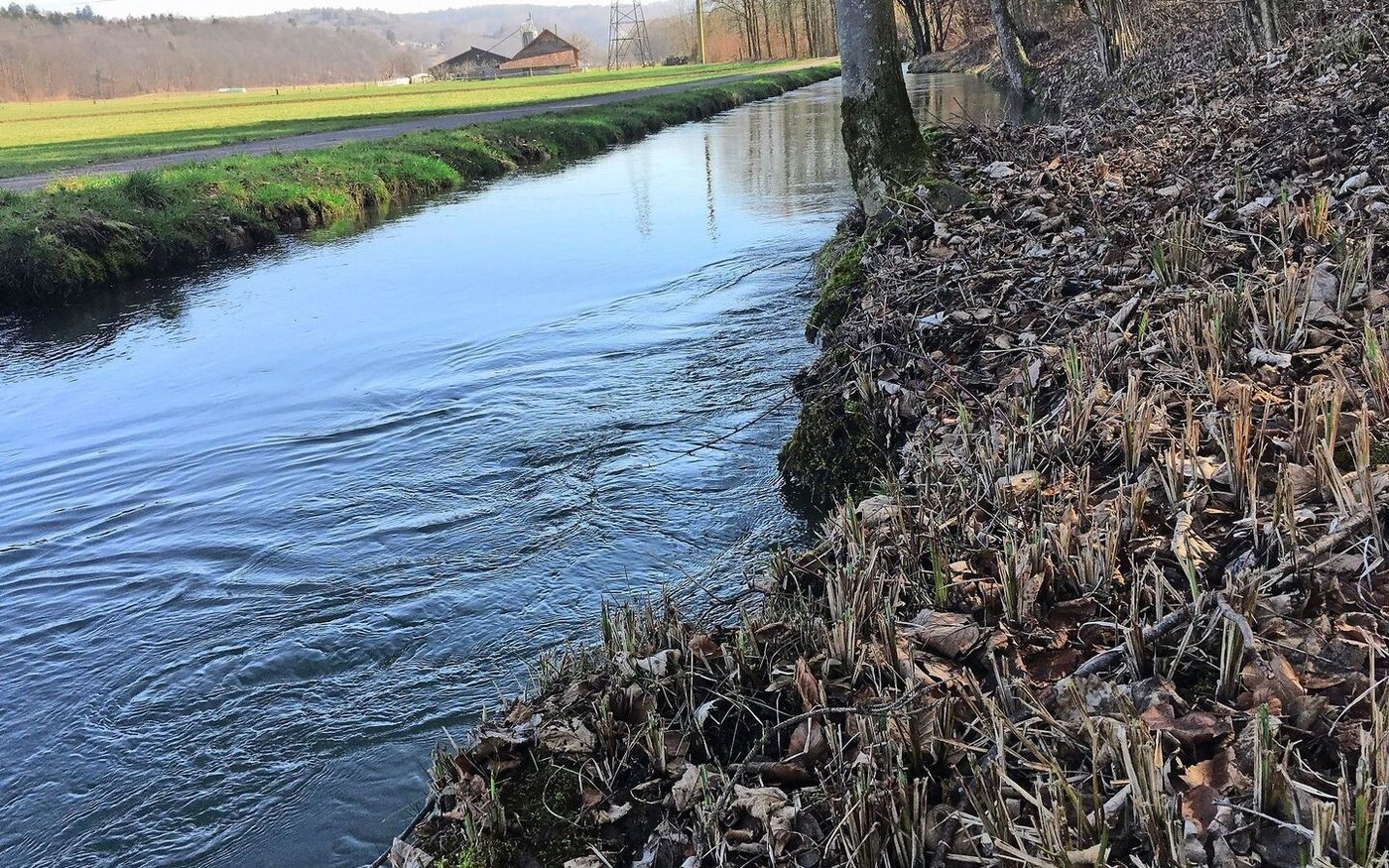 Das Obligatorium für Massnahmen gegen Abdrift und Abschwemmung hat das Risiko für naturnahe Lebensräume reduziert.