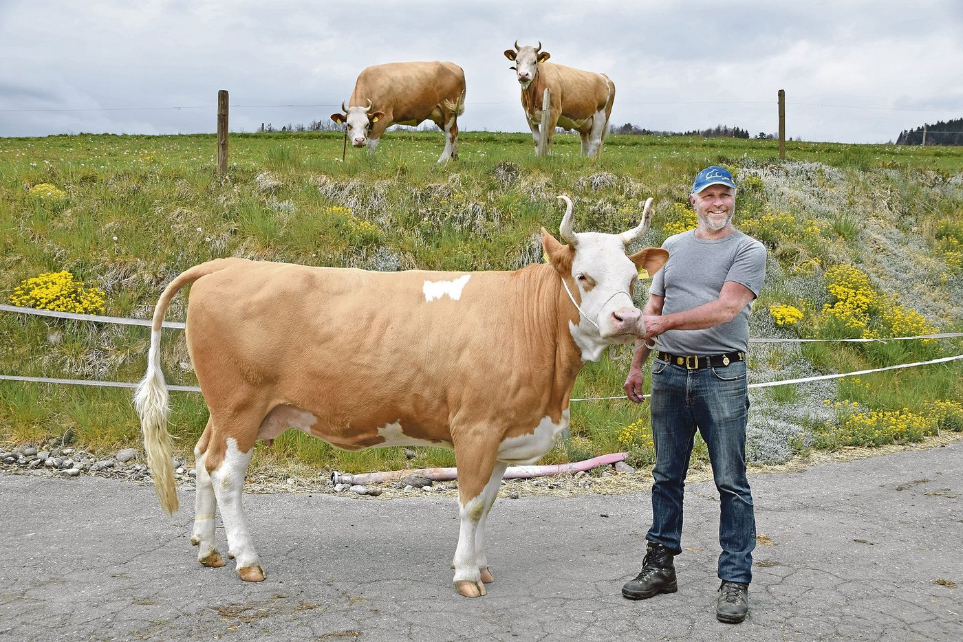 Ben Ilania wurde 2018 Rinder-Champion über alle Rassen an der Junior Expo in Thun. Heute ist sie punktiert mit 44 34 93. 