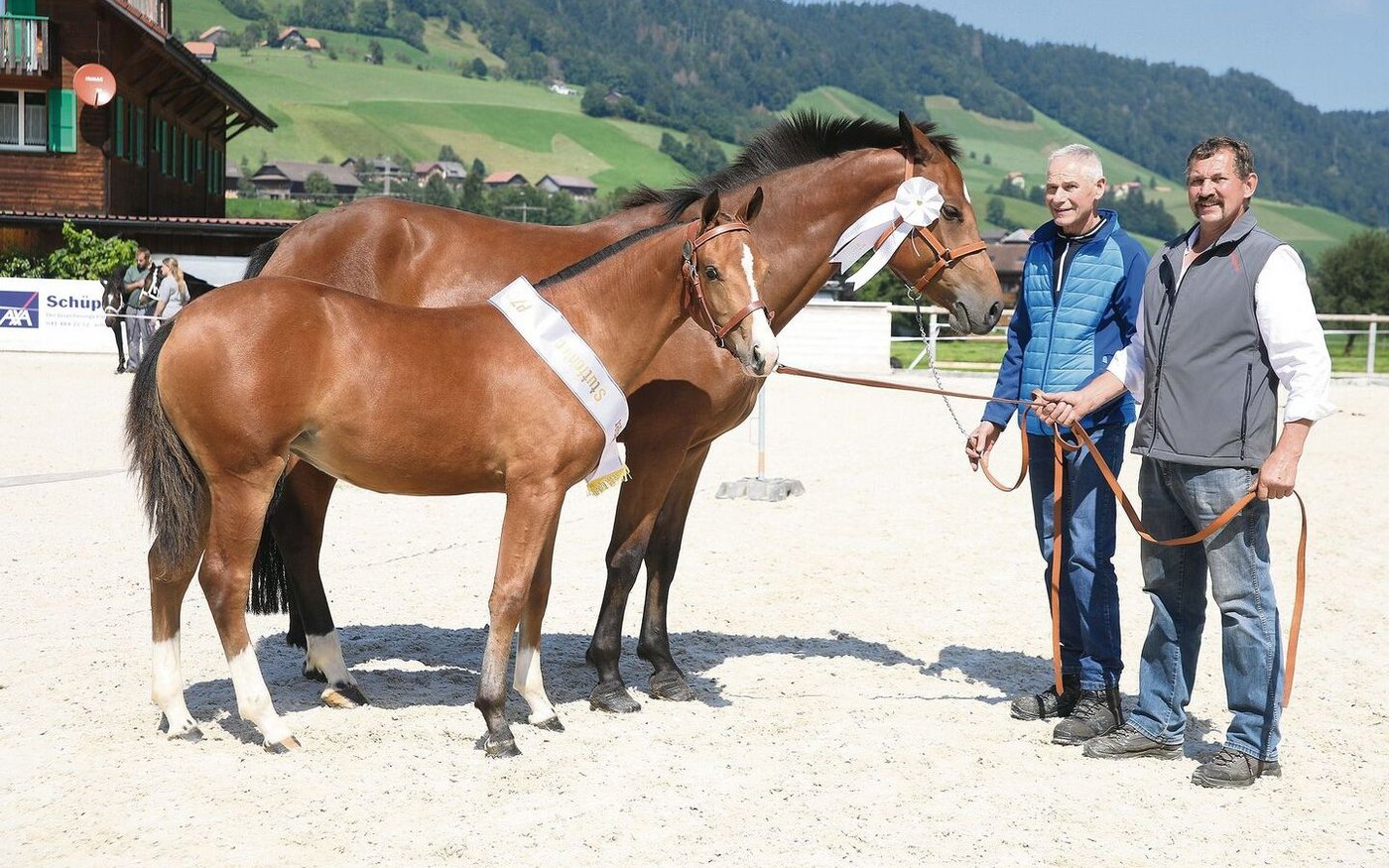 Erster Rang für das Stutfohlen Hanaya vom Meierhof von Leo Grüter aus Sigigen.