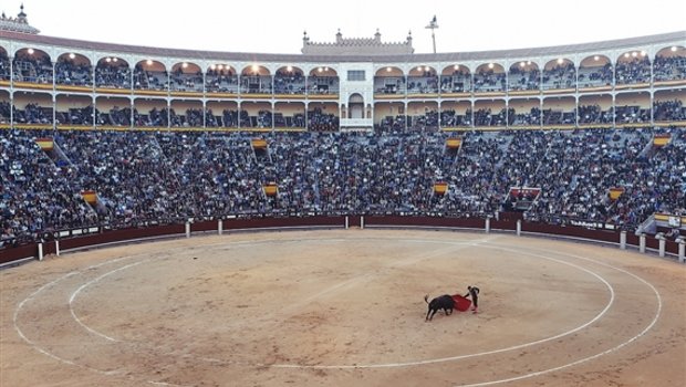 Brutale Tierquälerei, die verboten gehört, oder schützenswerte Tradition? Die Ansichten zum Stierkampf gehen in Spanien auseinander. (Bild Pixabay)