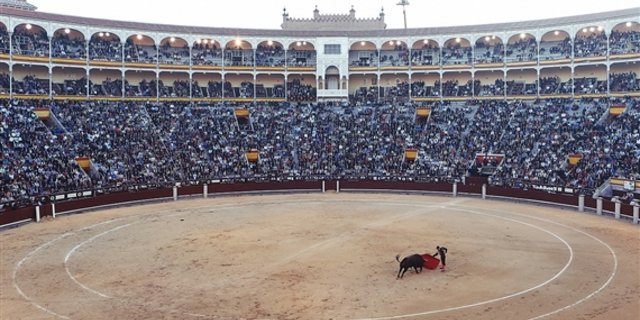 Brutale Tierquälerei, die verboten gehört, oder schützenswerte Tradition? Die Ansichten zum Stierkampf gehen in Spanien auseinander. (Bild Pixabay)