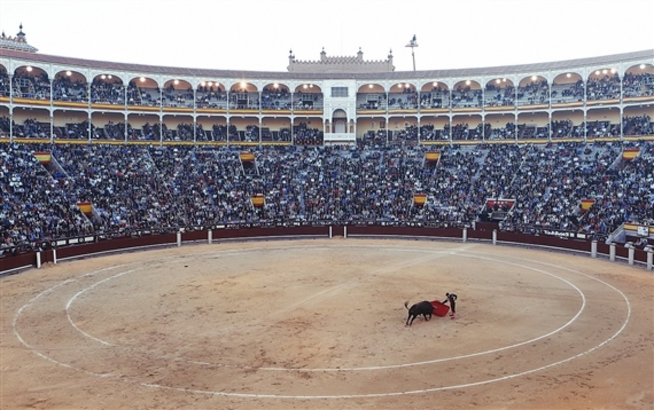 Brutale Tierquälerei, die verboten gehört, oder schützenswerte Tradition? Die Ansichten zum Stierkampf gehen in Spanien auseinander. (Bild Pixabay)