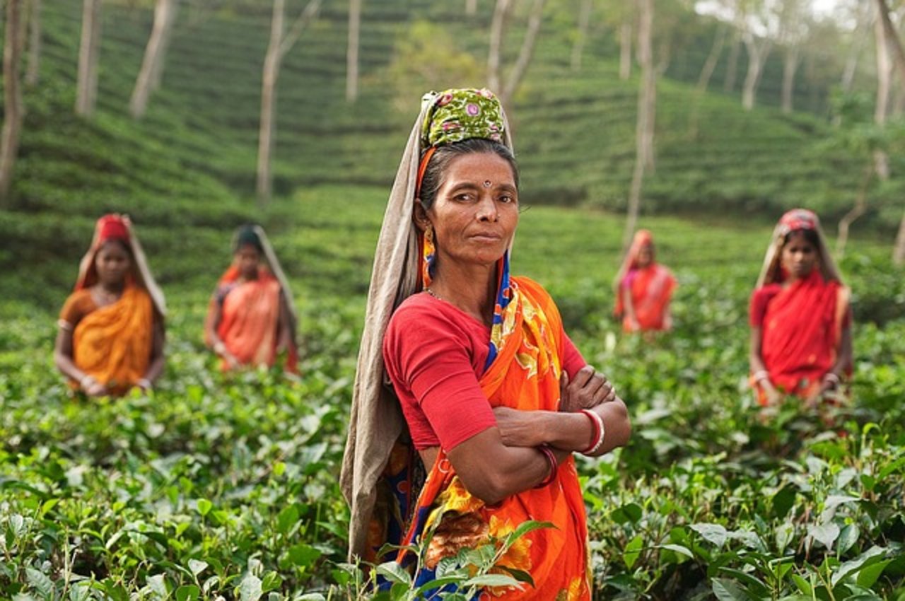 Etwa 60 Prozent der Inder leben von der Landwirtschaft. (Symbolbild pixabay)