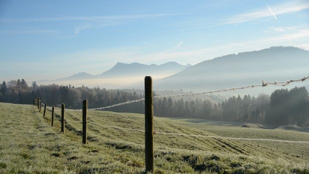 Die Zentralschweizer Junglandwirte handelt mit Weitsicht. (Symbolbild ag)