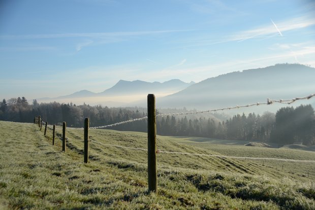 Die Zentralschweizer Junglandwirte handelt mit Weitsicht. (Symbolbild ag)