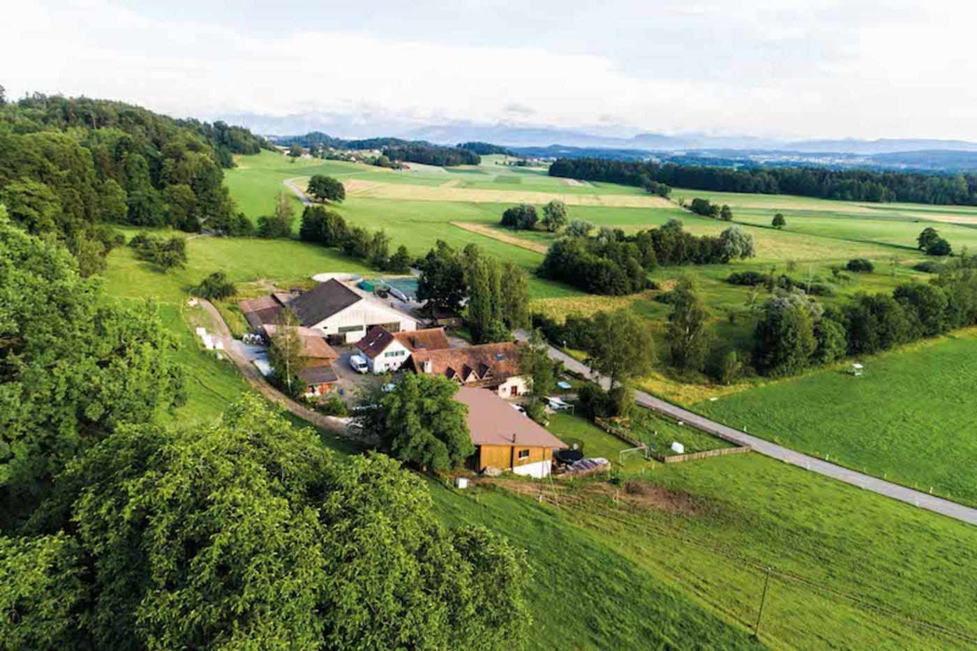 Auf dem Birkenhof in Uster ZH können die Besucher einen Gottesdienst miterleben und es gibt ein Kälber-Rennen.