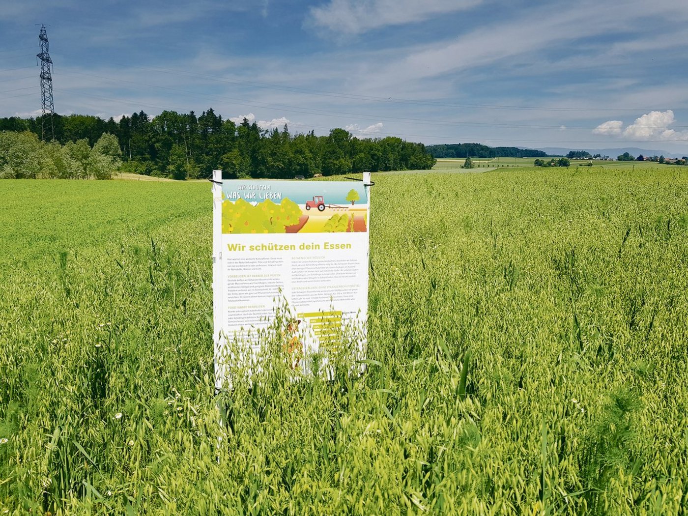 «Wir schützen dein Essen»: Von diesen und ähnlichen Tafeln wurden bereits 14 000 Stück aufgestellt und sie können weiterhin bestellt werden. (Bild pd)